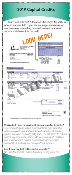 August 2020 capital credits front