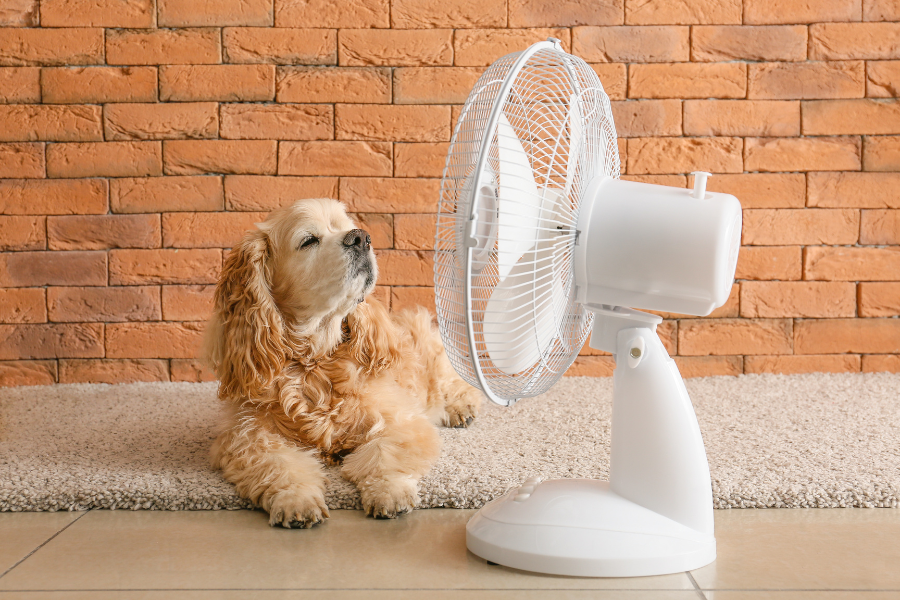 Keeping Cool