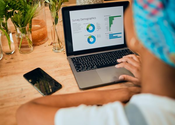 Data Analyst