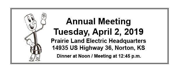 February Bill Insert About Annual Meeting