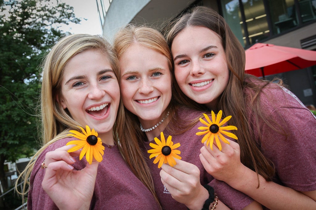 sunflowers