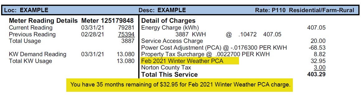 Sample Bill with WW PCA