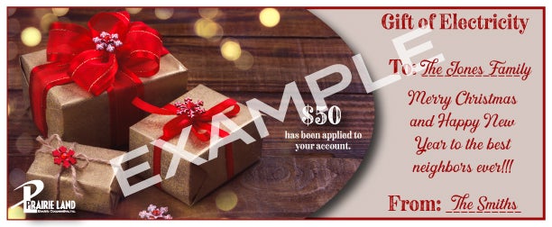 Gift-of-Electricity-7EXAMPLE.jpg